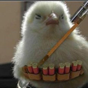 Meet your Posher, Chicken